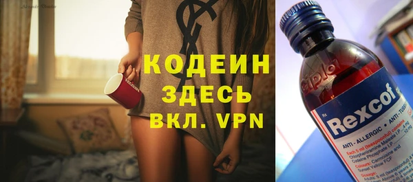 ECSTASY Бородино