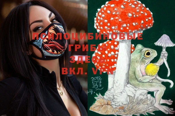 мяу мяу мука Бугульма