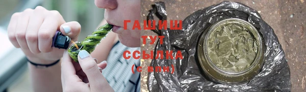 ECSTASY Бородино