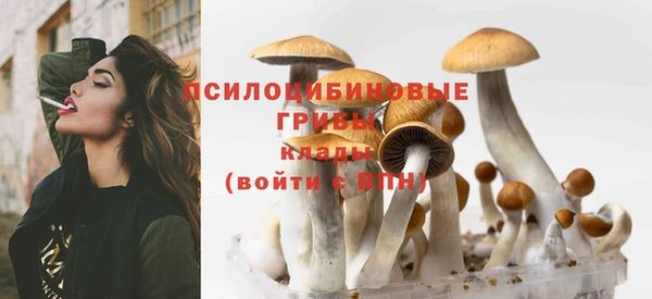 мяу мяу мука Бугульма