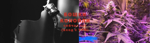 ECSTASY Бородино
