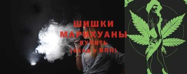 ECSTASY Бородино