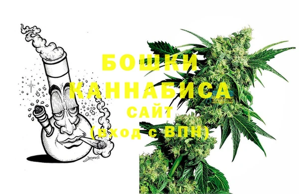ECSTASY Бородино