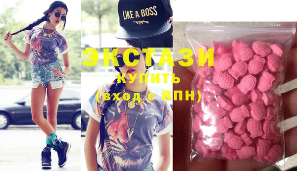 ECSTASY Бородино