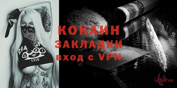 ECSTASY Бородино