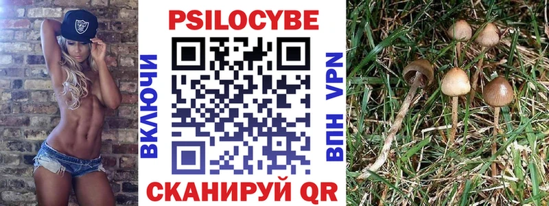 блэк спрут ТОР Реж Галлюциногенные грибы ЛСД